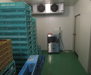 イチゴ生産者